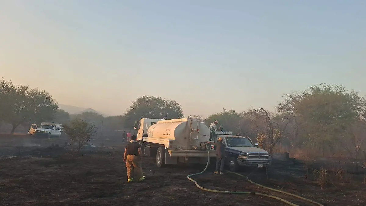 MTm incendio federal 2